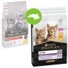 Pro Plan Kitten Healthy Start riche en poulet pour chaton 1.5 kg