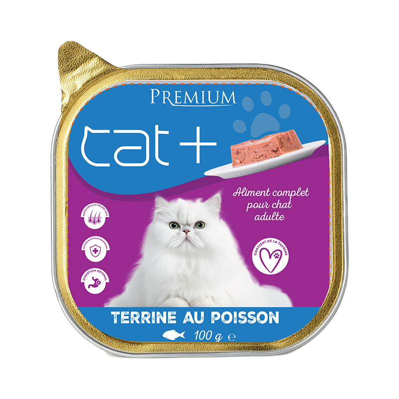 Illustration vectorielle Ours brun