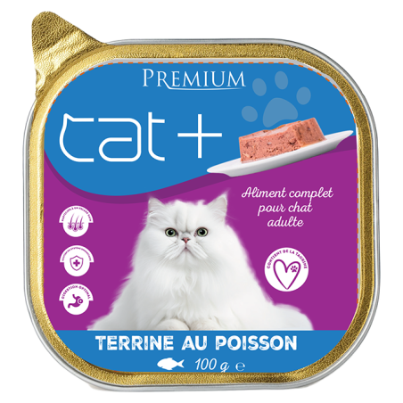 Illustration vectorielle Ours brun