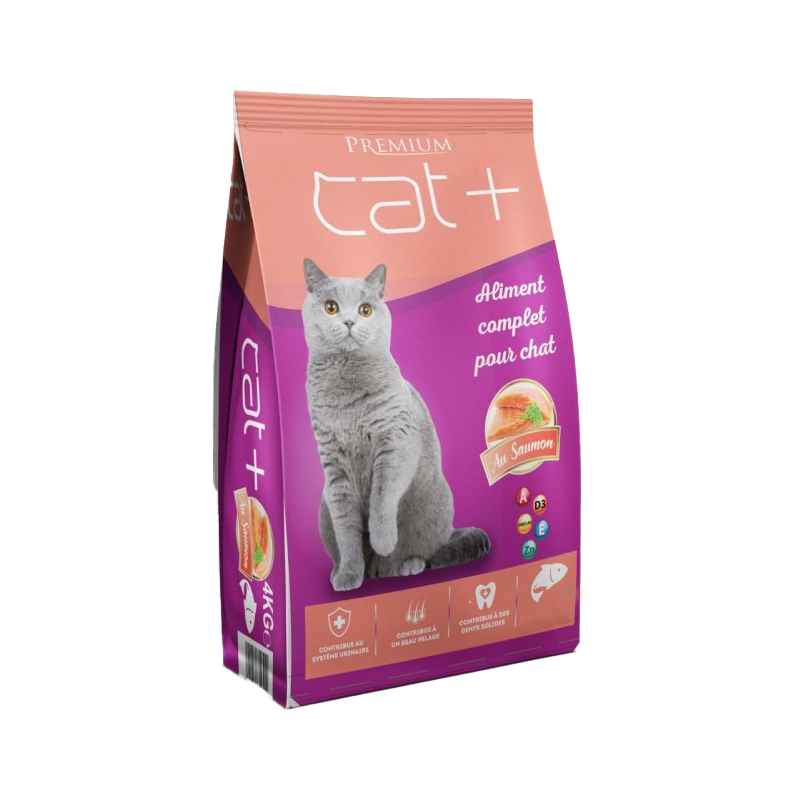 Affiche encadrée Today is a good day