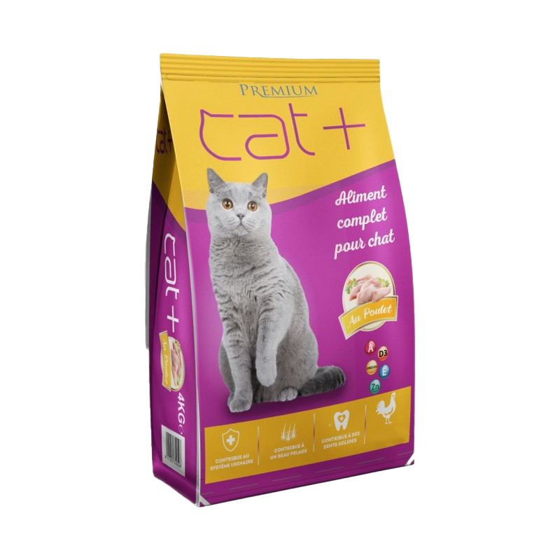 Affiche encadrée The adventure begins