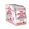 ROYAL CANIN - SACHET FRAICHEUR POUR CHATON 1*85G