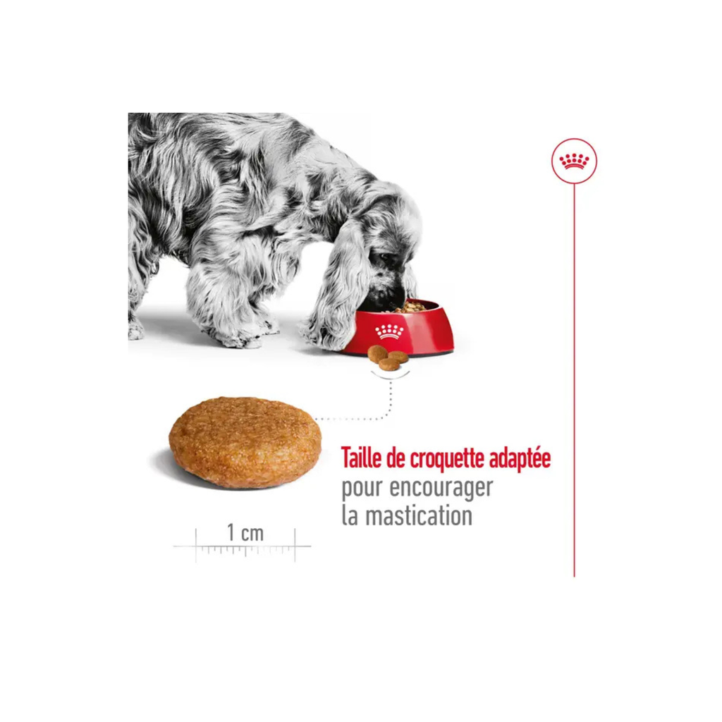 ROYAL CANIN® Medium Adult