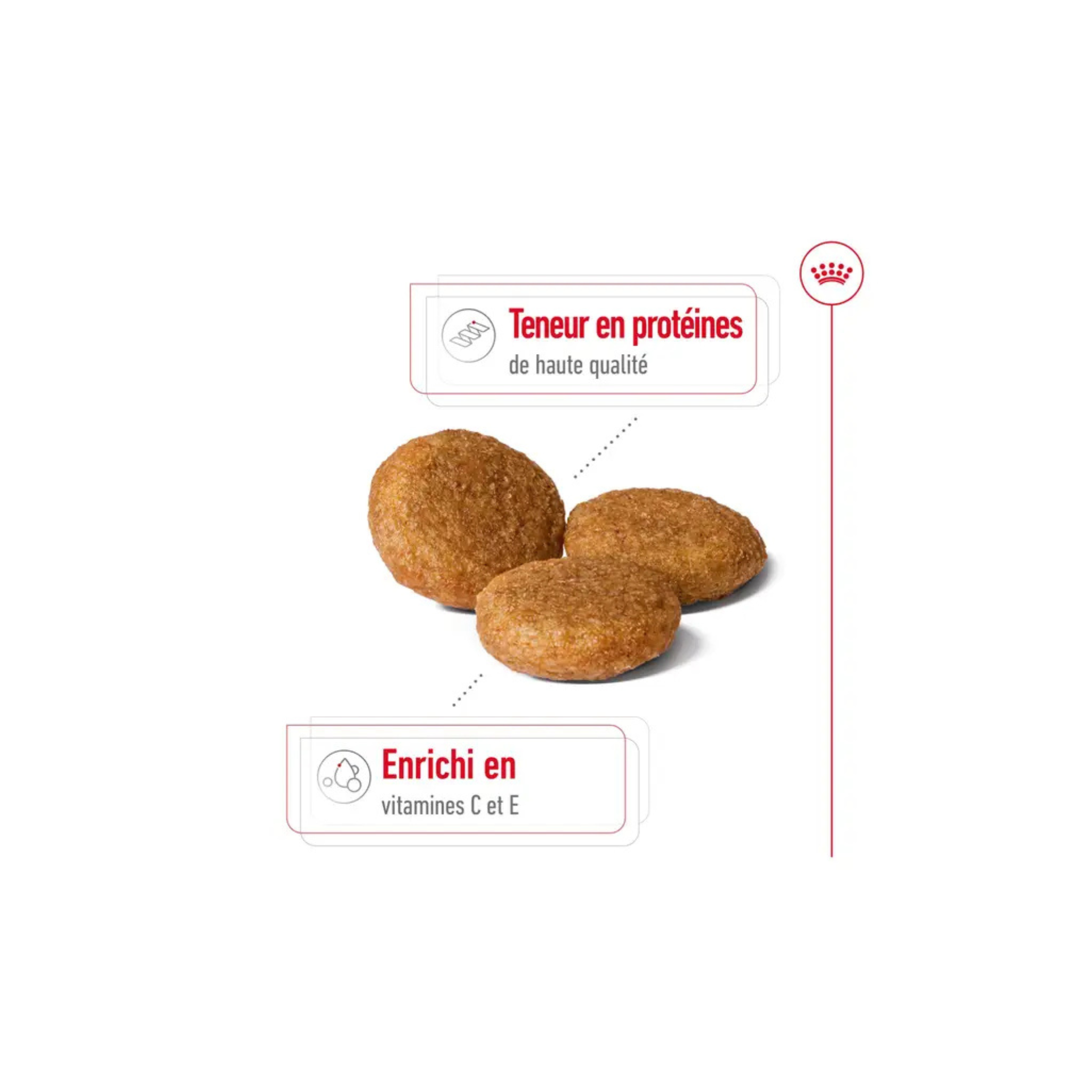 ROYAL CANIN® Medium Adult