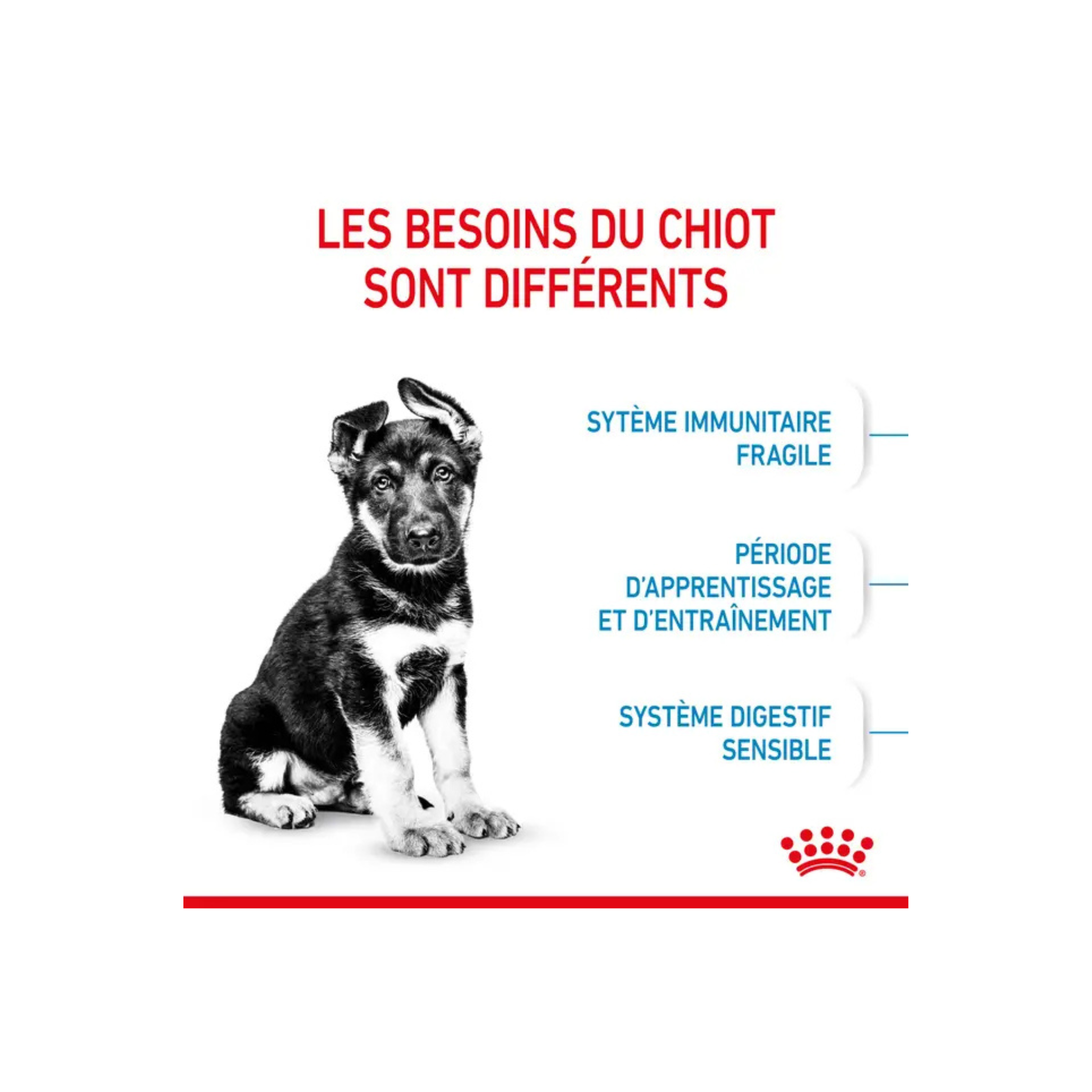 ROYAL CANIN® Maxi Puppy pour chiot