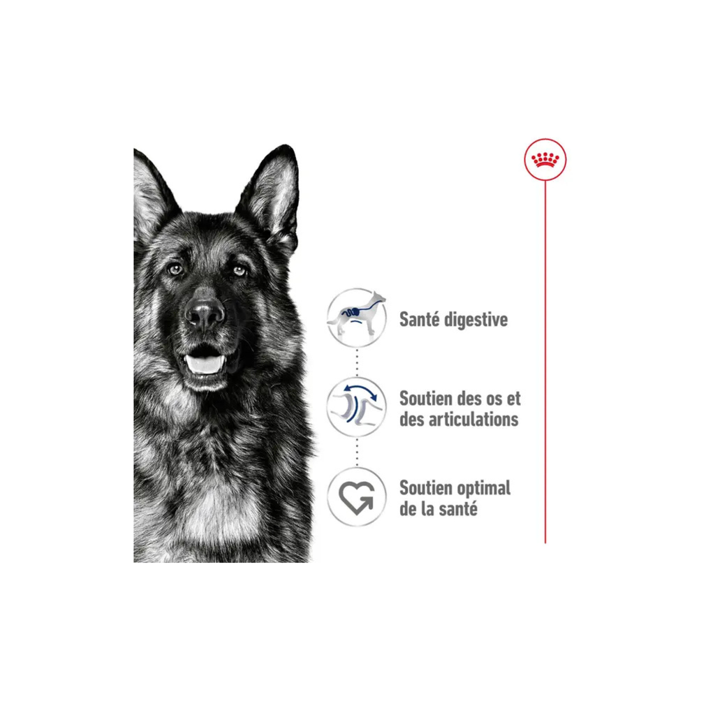ROYAL CANIN® Maxi Adult