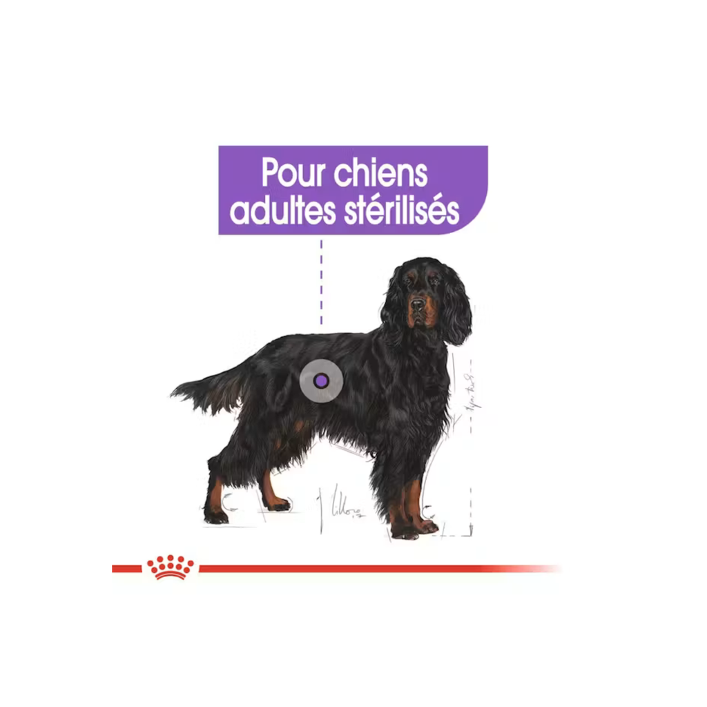 ROYAL CANIN® Maxi Sterilised