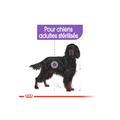 ROYAL CANIN® Maxi Sterilised