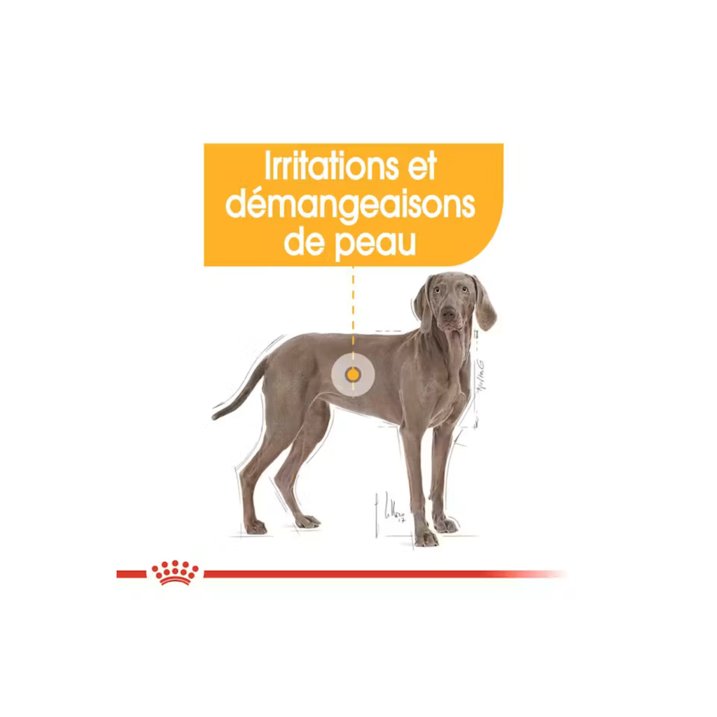 ROYAL CANIN® Maxi Dermacomfort