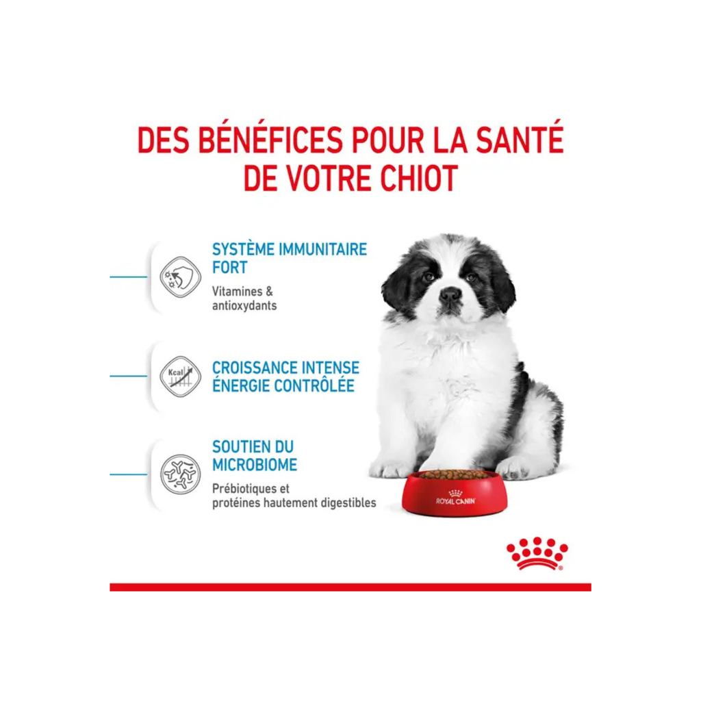 ROYAL CANIN® Giant Puppy pour chiot