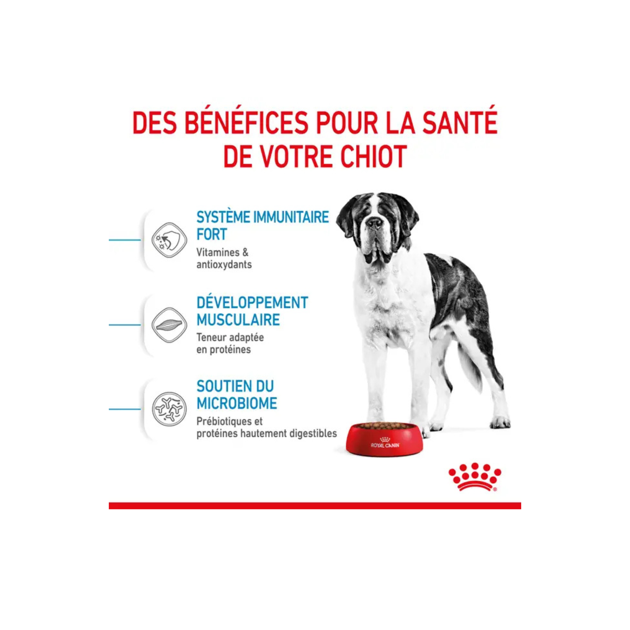 ROYAL CANIN® Giant Junior pour chiot
