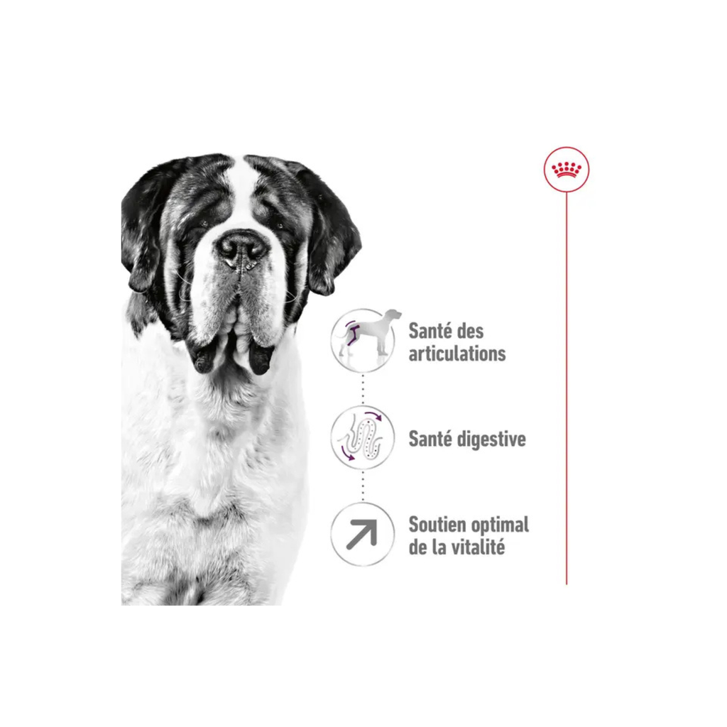 ROYAL CANIN® Giant Adult