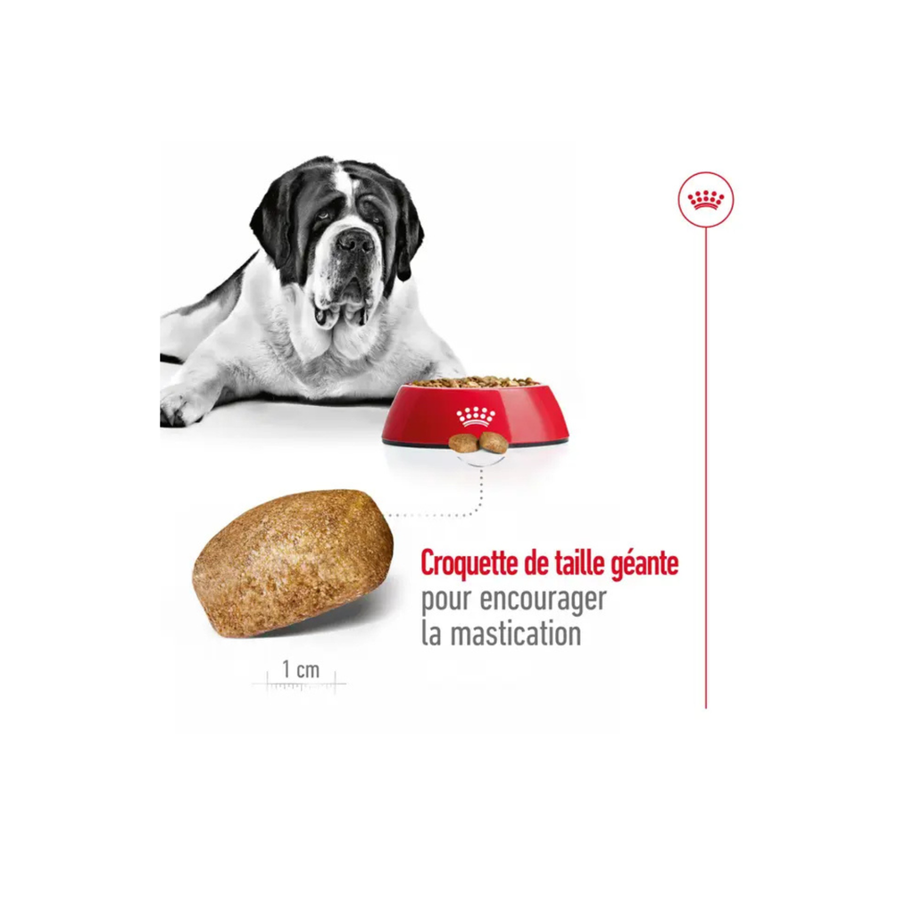 ROYAL CANIN® Giant Adult