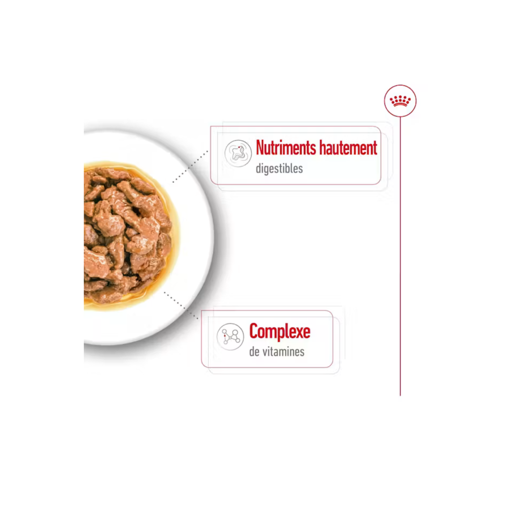 ROYAL CANIN® Mini Adult en sauce