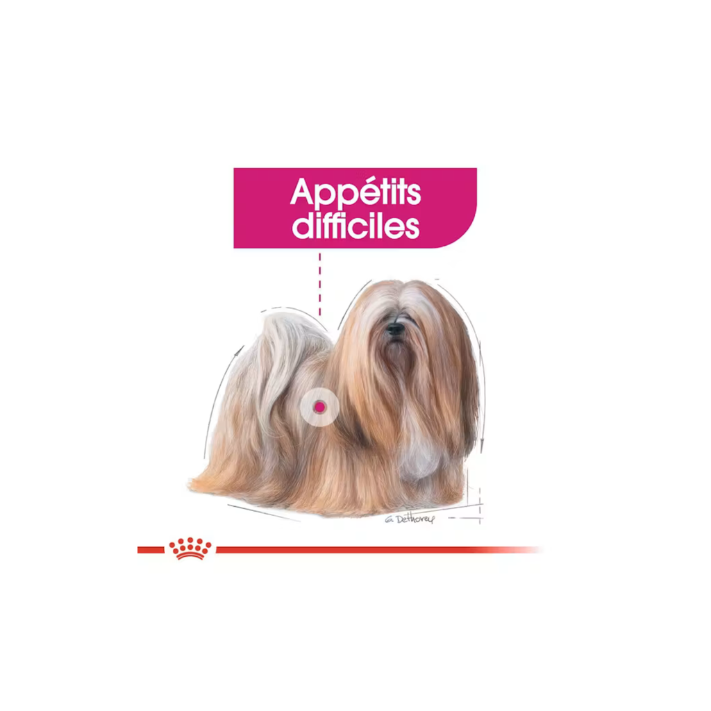 ROYAL CANIN® Exigent mousse
