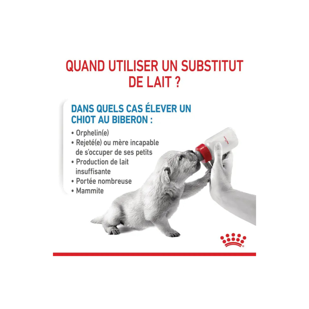ROYAL CANIN® Babydog Milk