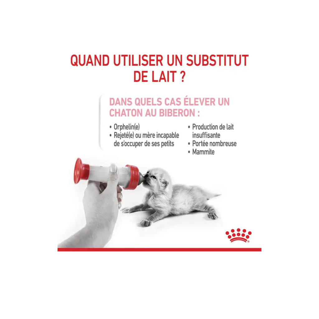 ROYAL CANIN® Babycat Milk