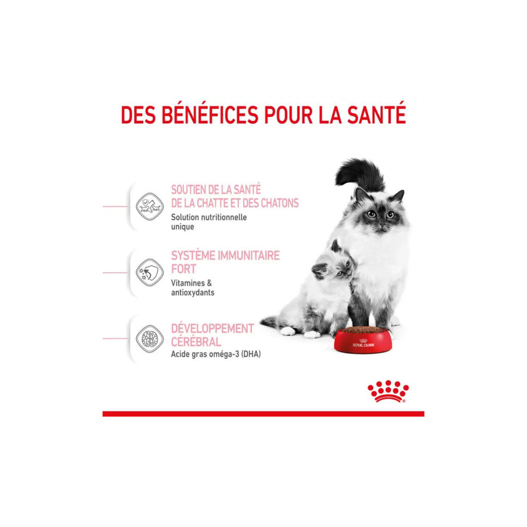 ROYAL CANIN® Mother & Babycat pour chatte et chaton