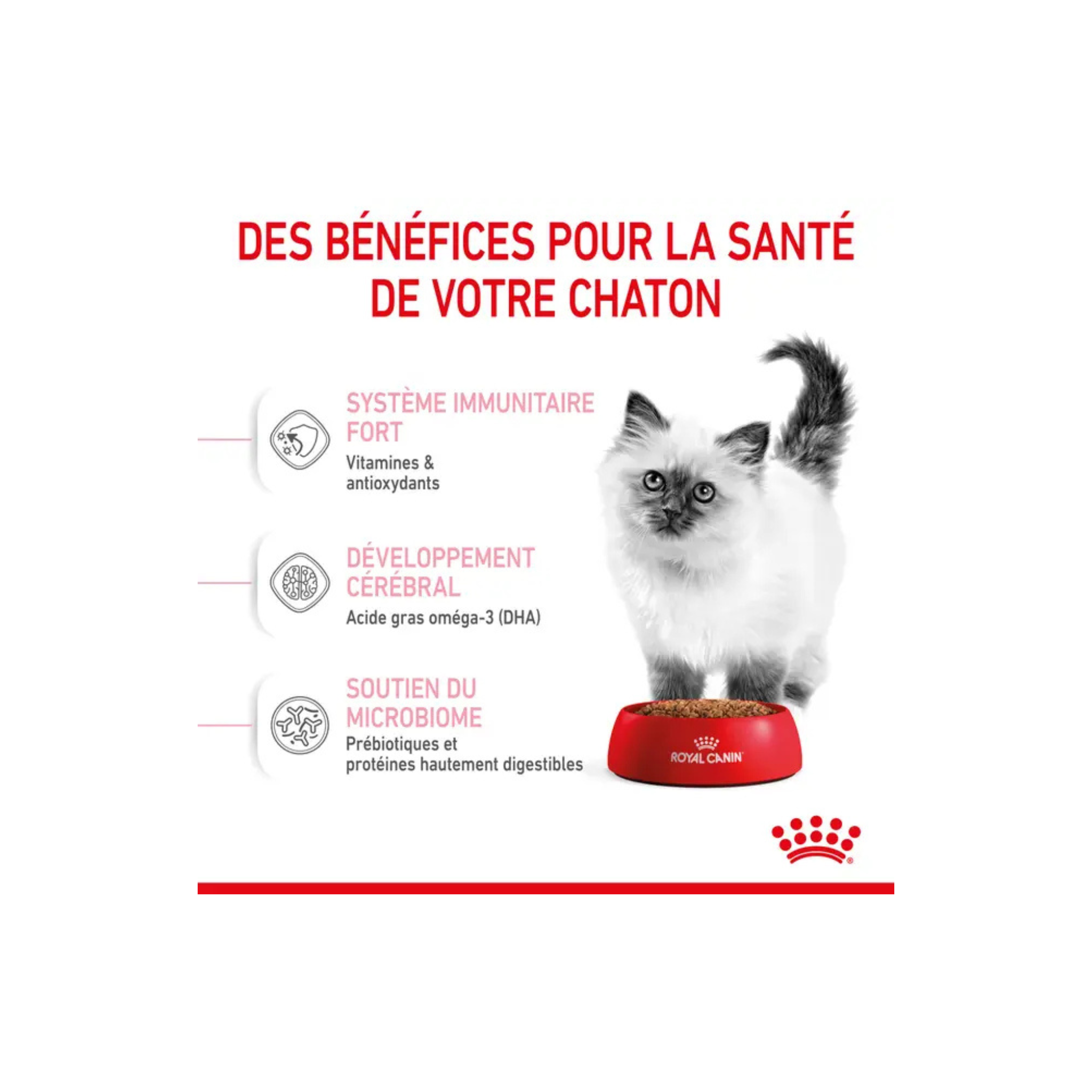 ROYAL CANIN® Kitten pour chaton