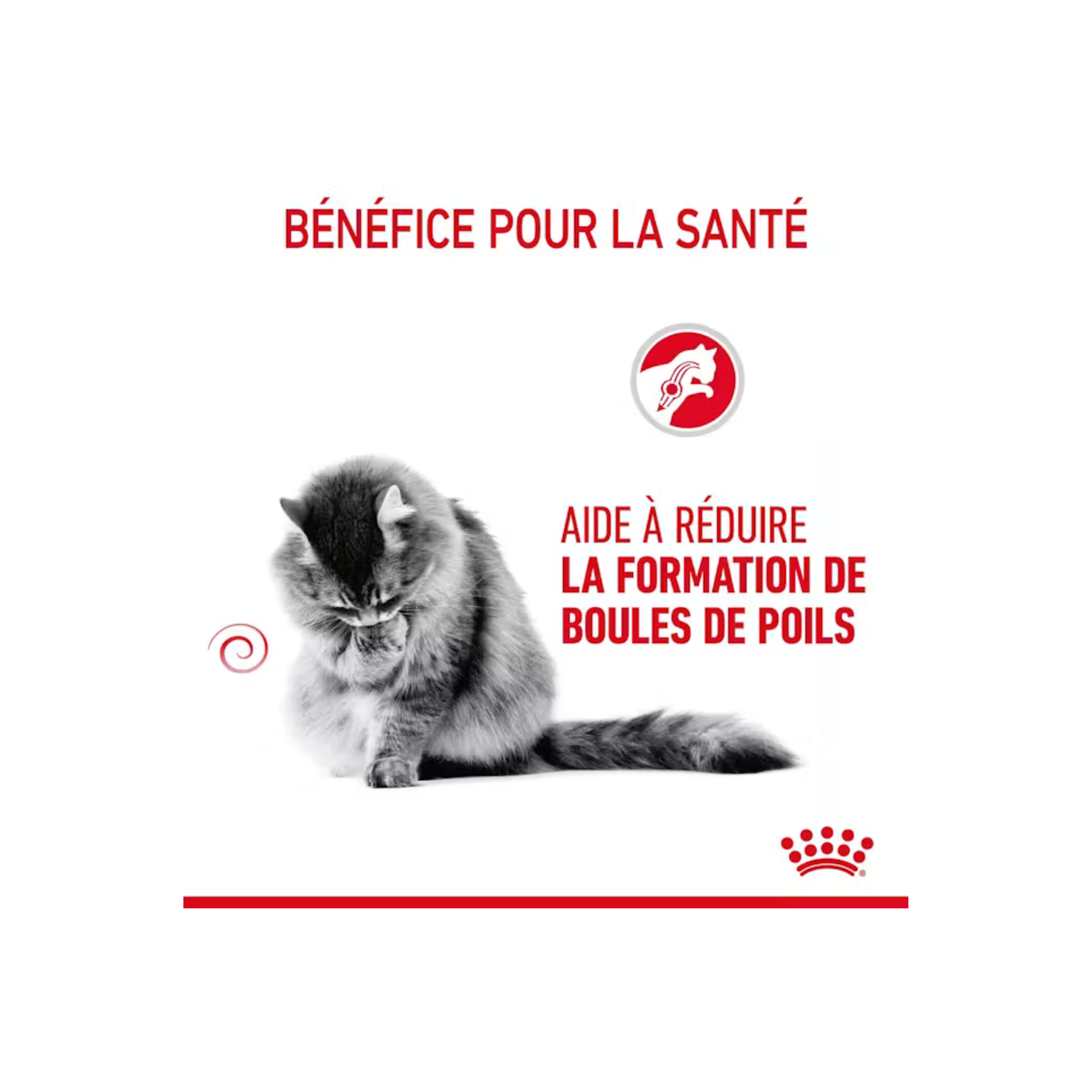 ROYAL CANIN® HAIRBALL CARE
