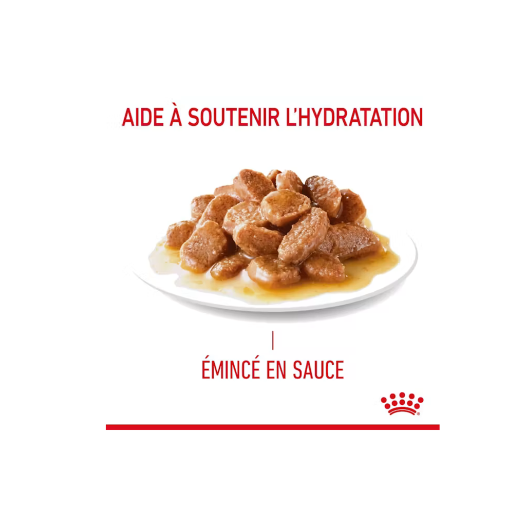 ROYAL CANIN® Hairball Care en sauce