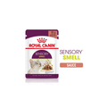 ROYAL CANIN® SENSORY™ SMELL en sauce
