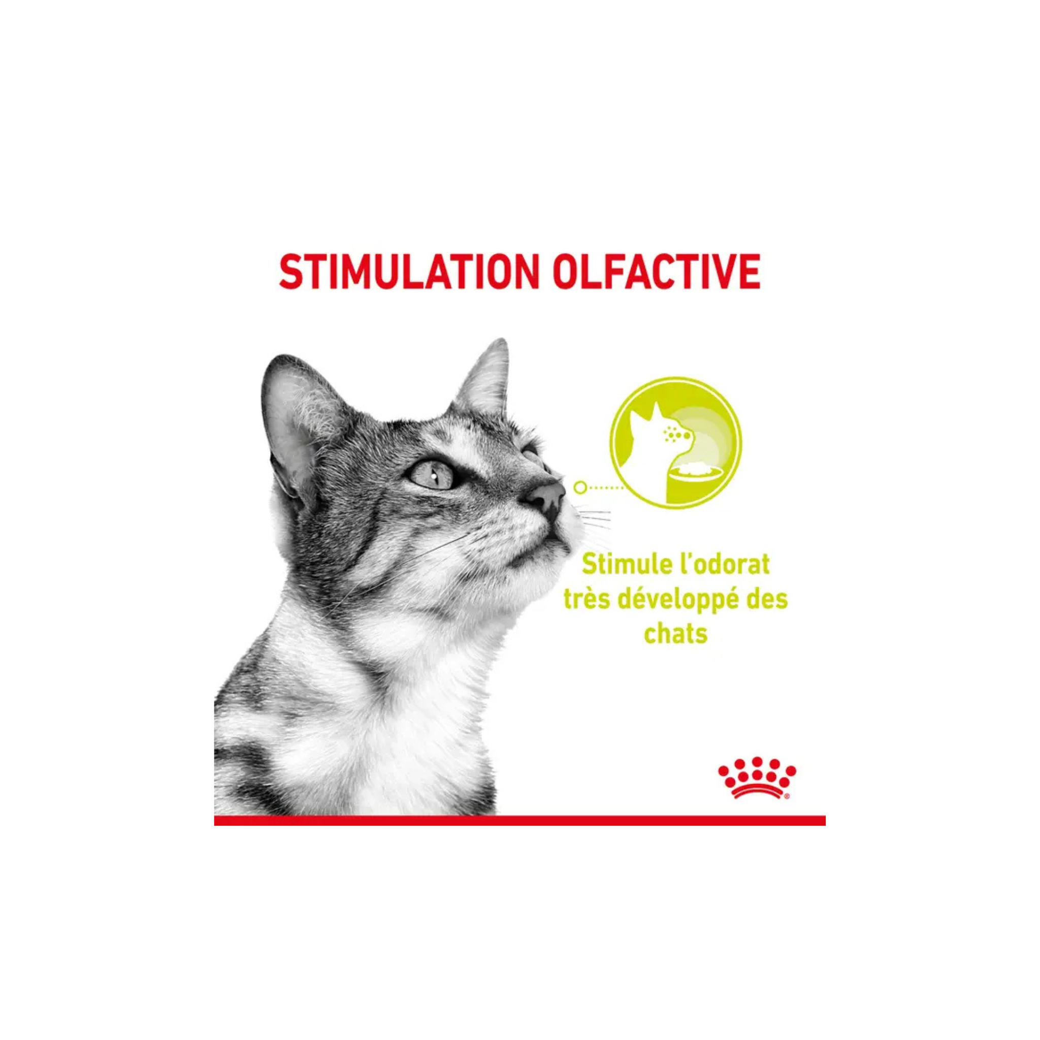 ROYAL CANIN® SENSORY™ SMELL en sauce
