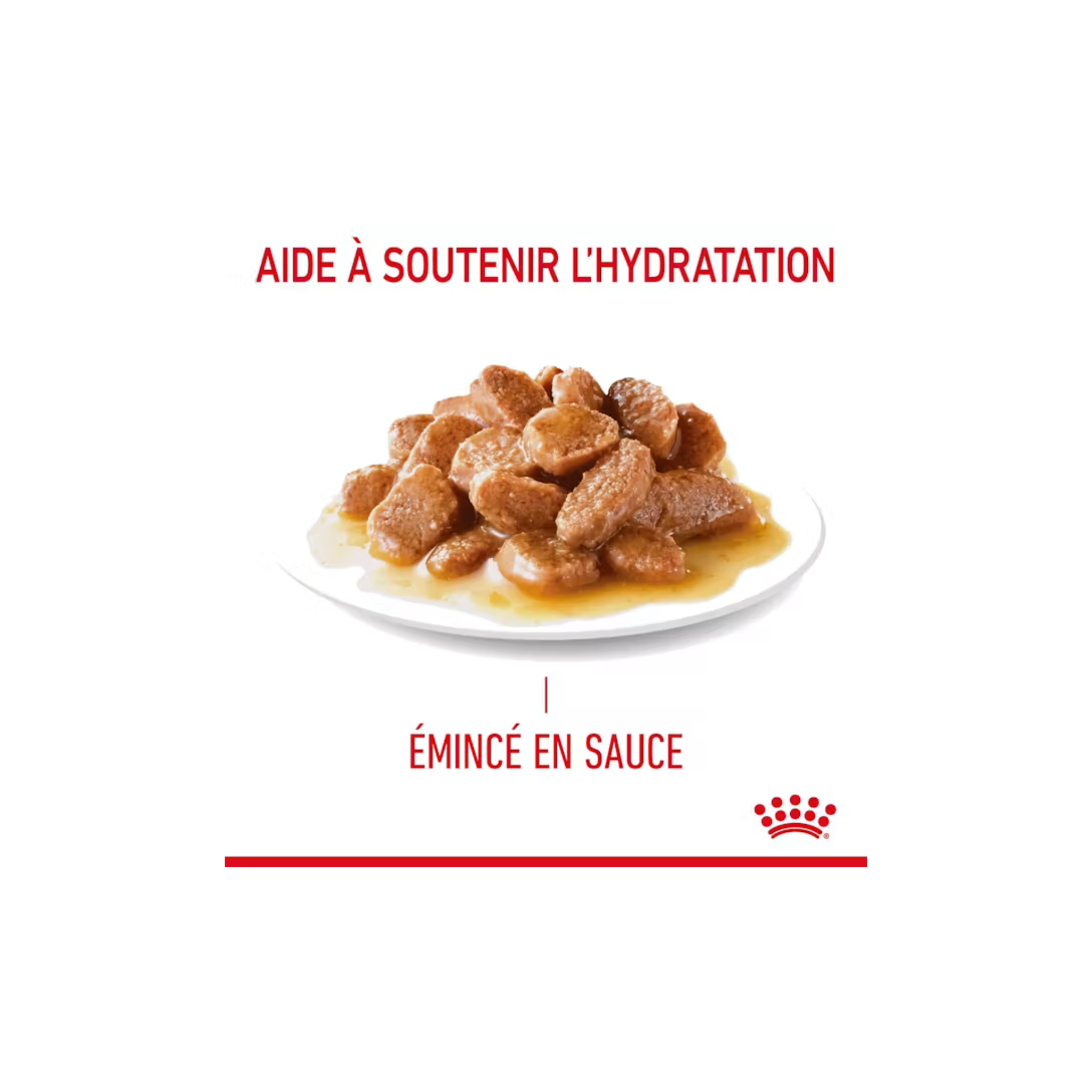 ROYAL CANIN® Digestive Sauce