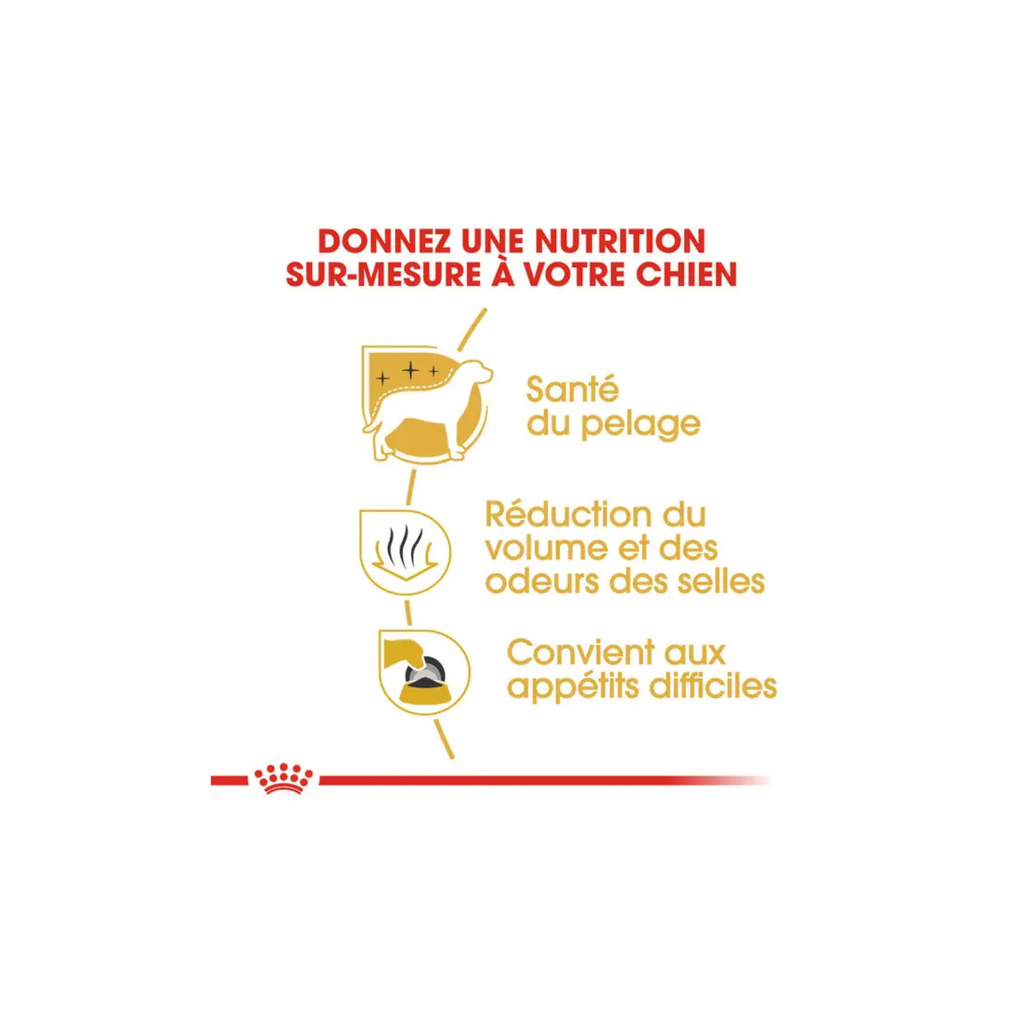 ROYAL CANIN® Bichon Maltais Adulte