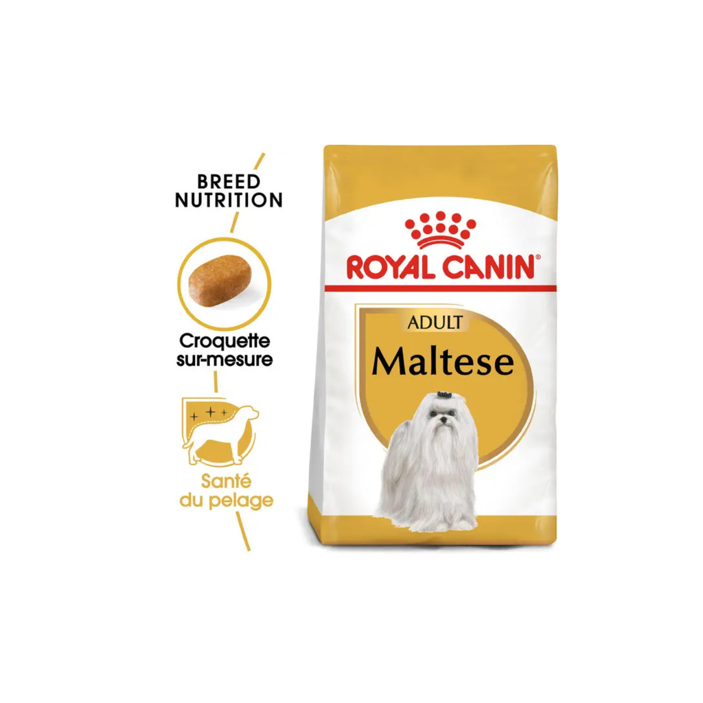 ROYAL CANIN® Bichon Maltais Adulte