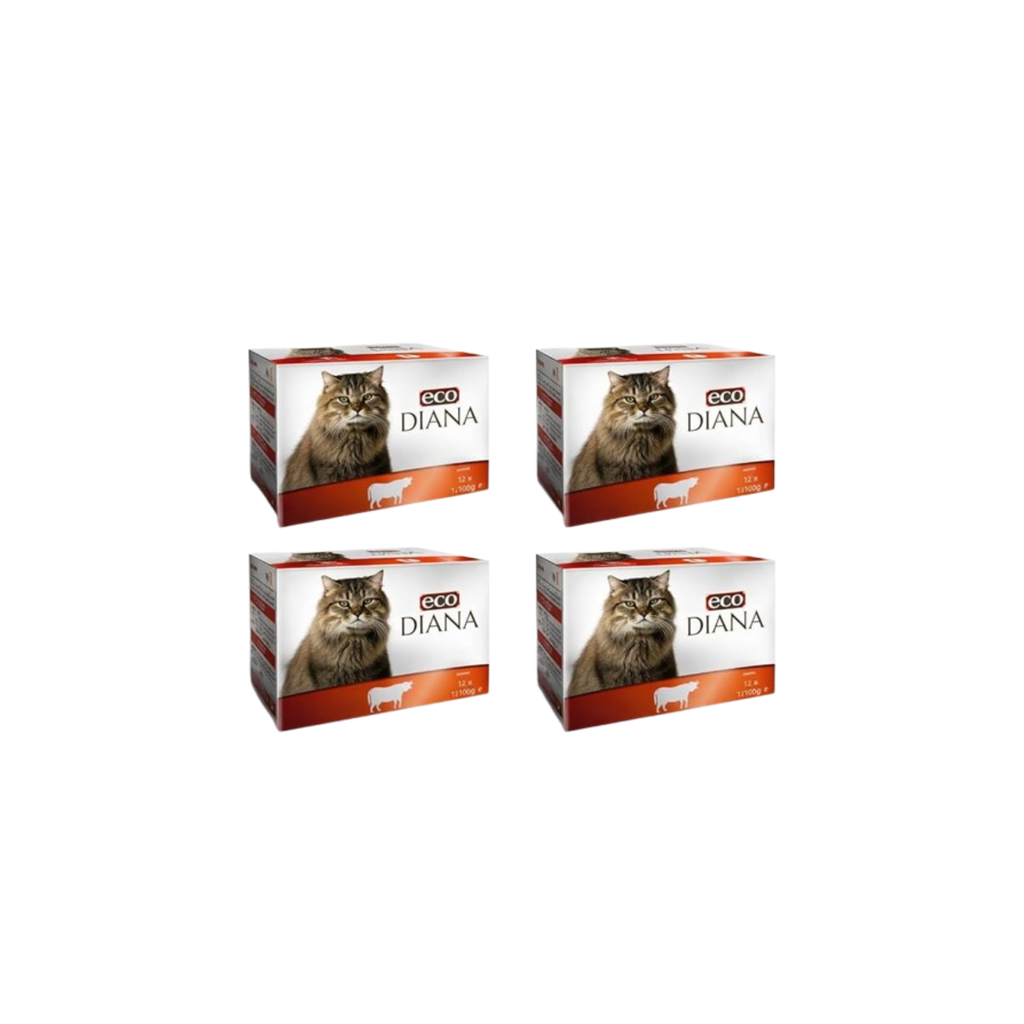 ECO DIANA — 12*100g pochons Bœuf