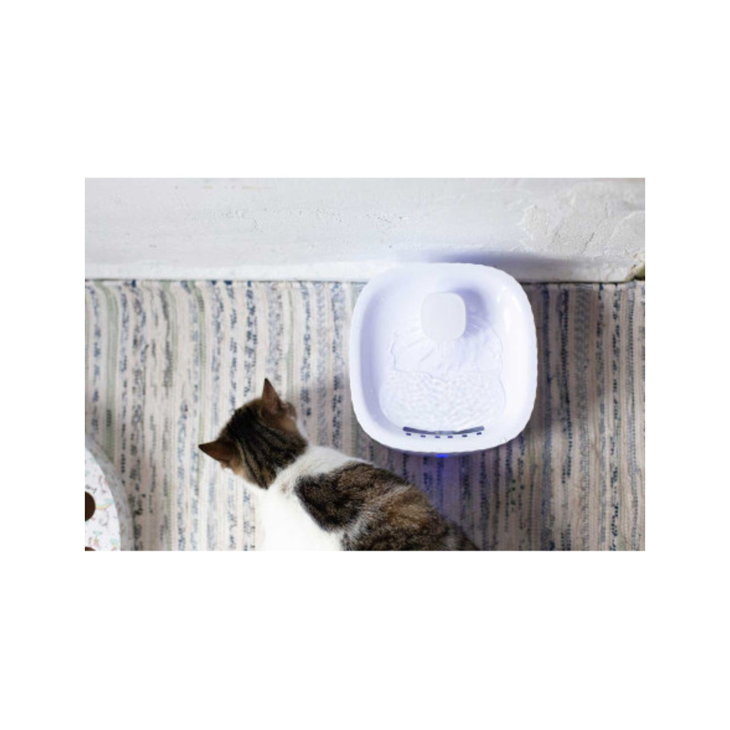 Fontaine à eau pour animaux de compagnie