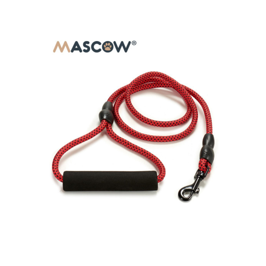 Laisse nylon 1,2 m pour chien
