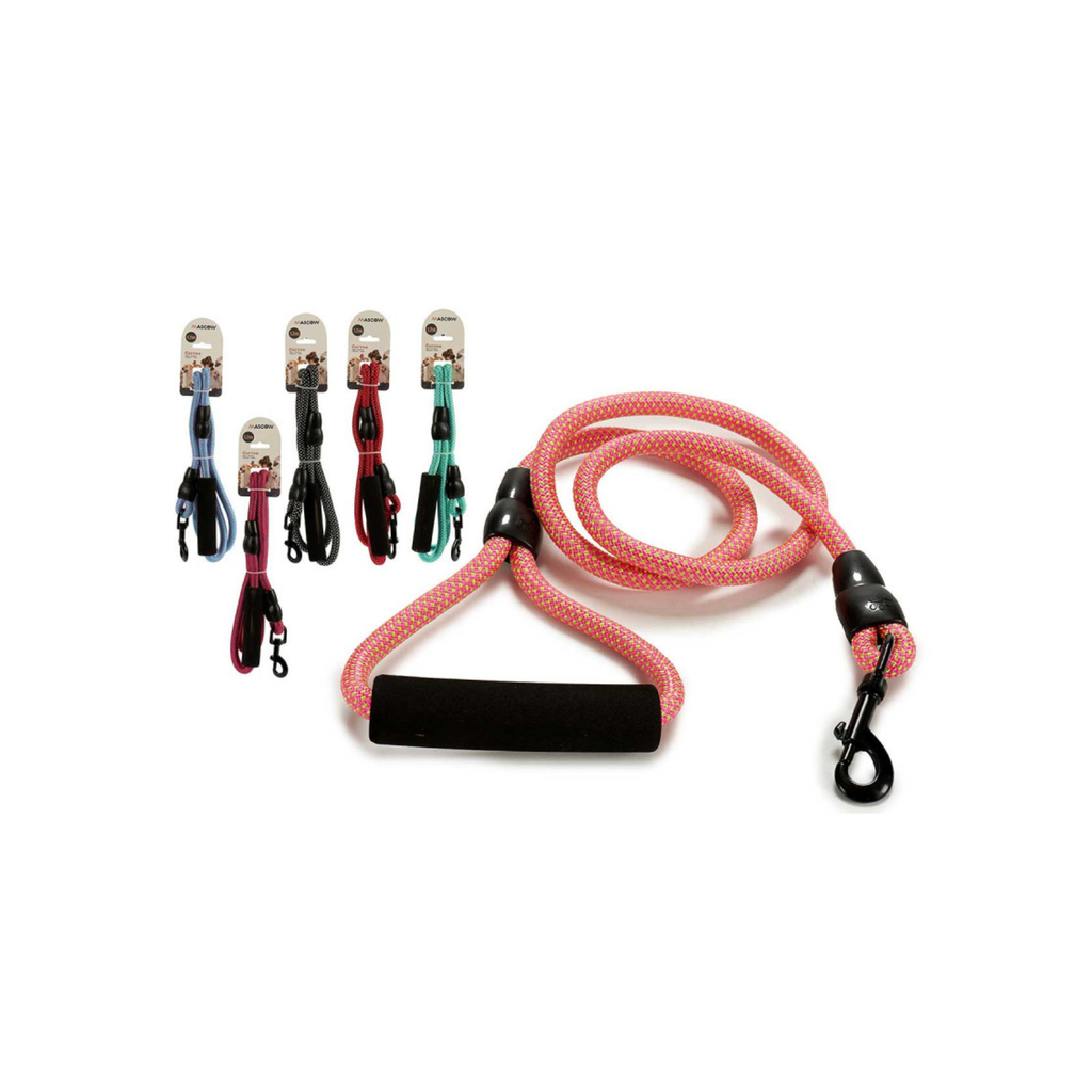 Laisse nylon 1,2 m pour chien