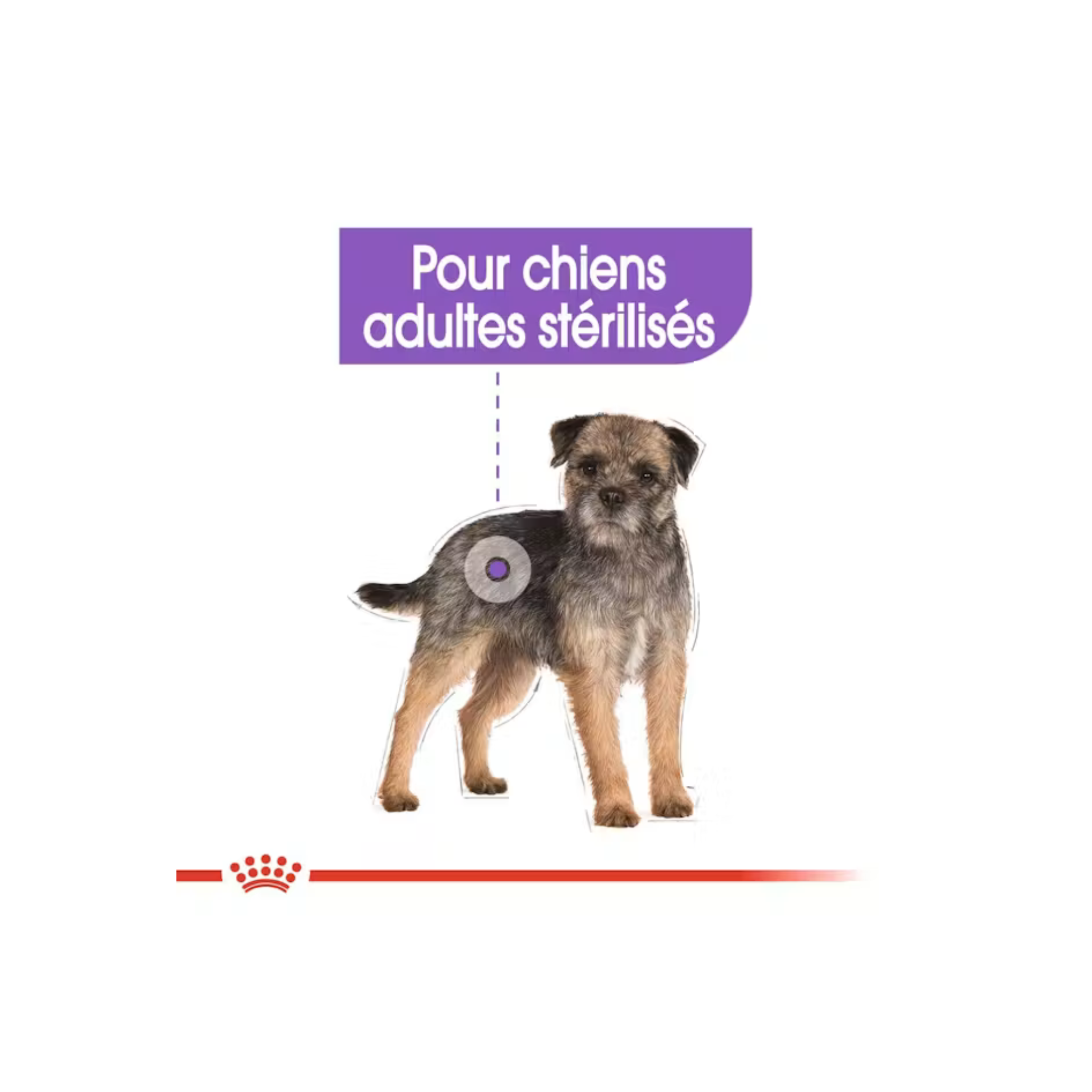 ROYAL CANIN® Mini Sterilised