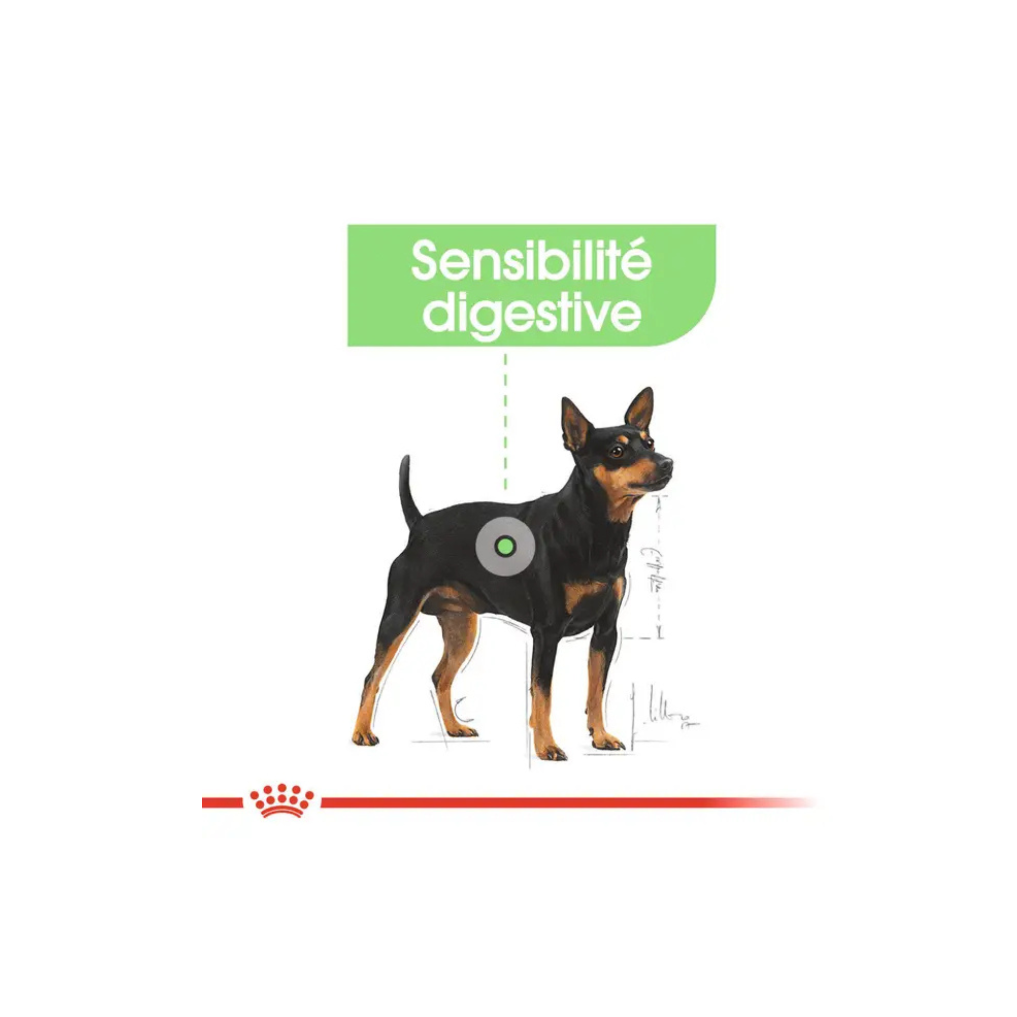 ROYAL CANIN® Mini Digestive Care