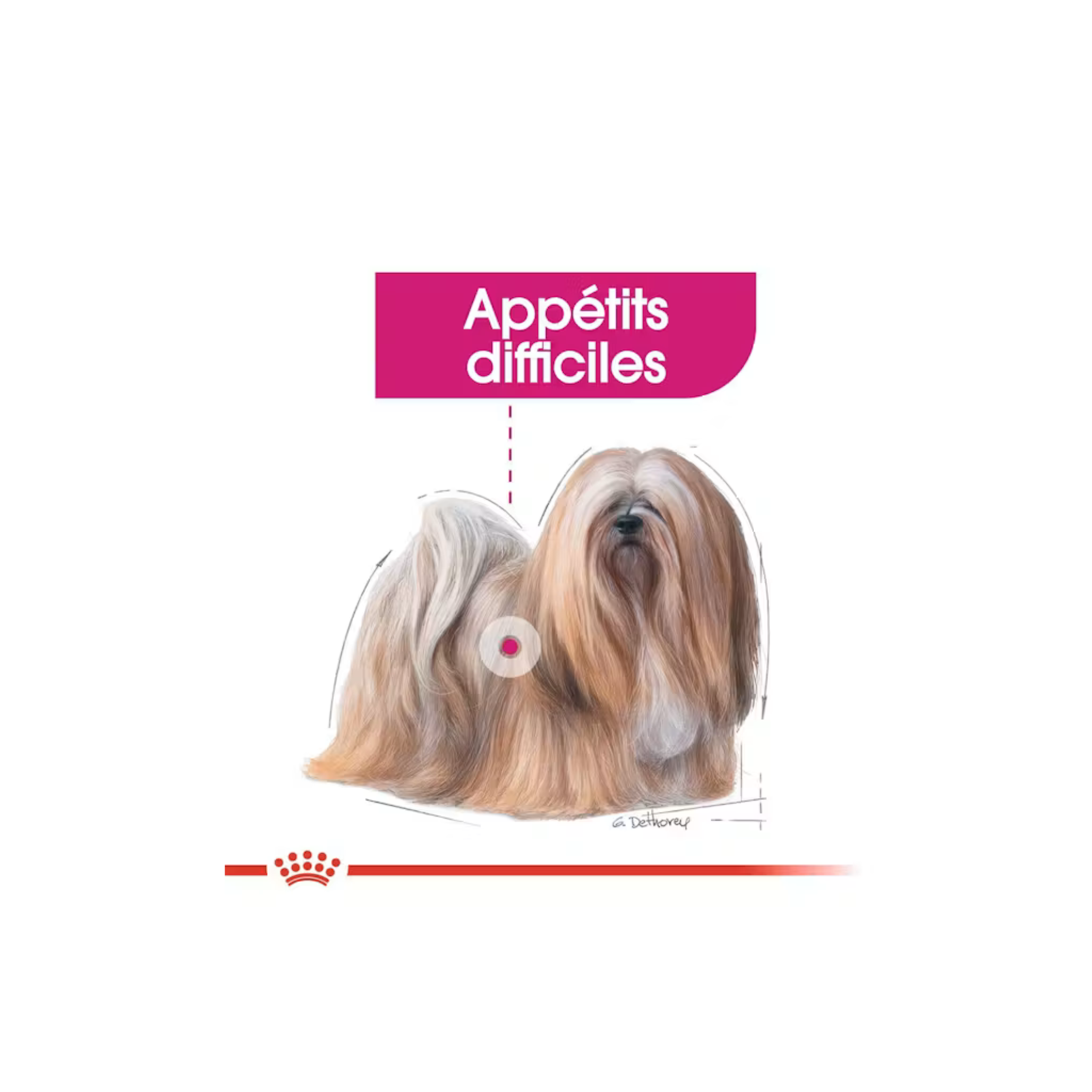 ROYAL CANIN® Mini Exigent