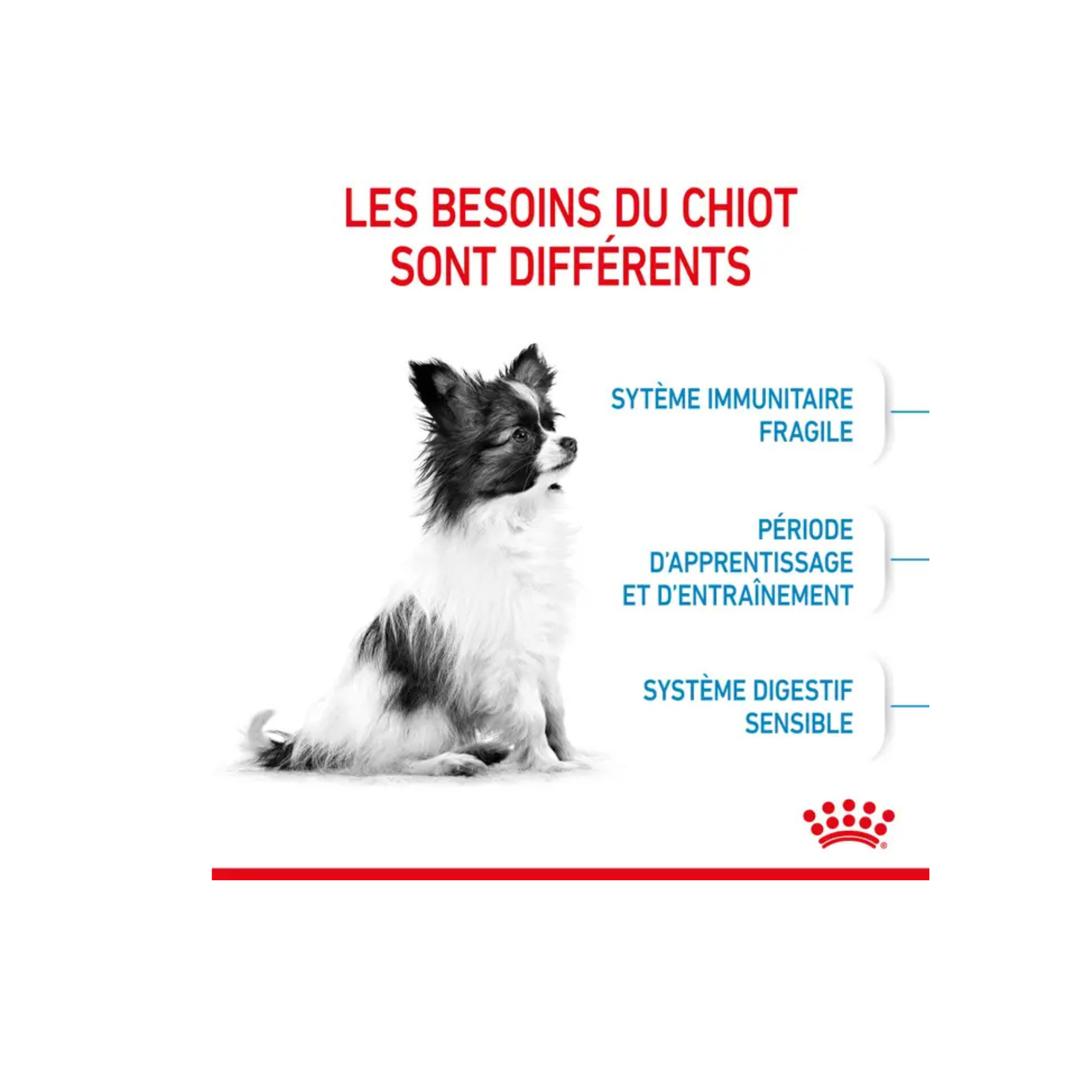 ROYAL CANIN® X-Small Puppy pour chiot